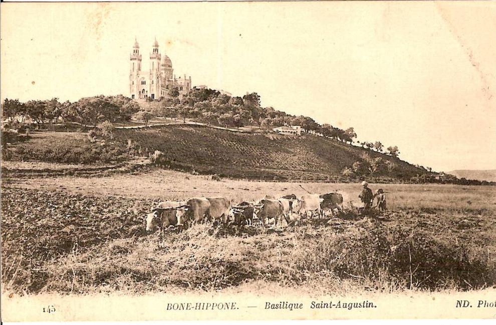 ALGERIEBONE BASILIQUE SAINT AUGUSTIN (PREMIER PLAN LABOURS)N°145