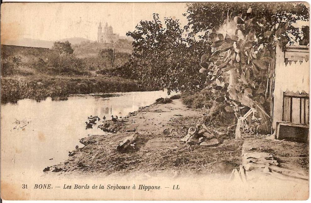 ALGERIEBONE LES BORDS DE LA SEYBOUSE A HIPPONE N°31