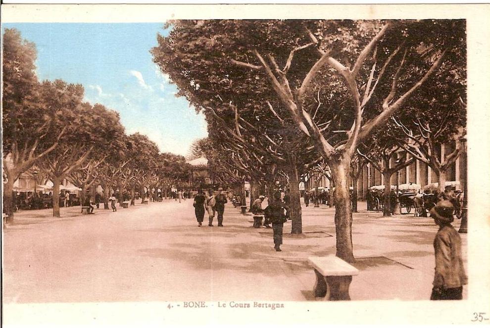 ALGERIEBONE  LE COURS BERTAGNA N°4