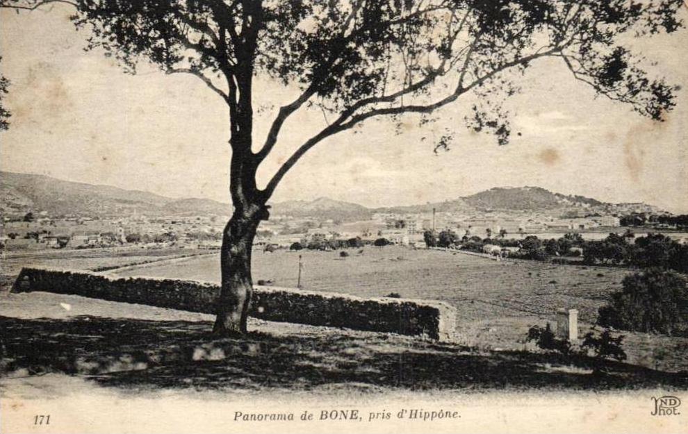 Algérie - Panorama de Bône, pris d´ Hippone - 24609