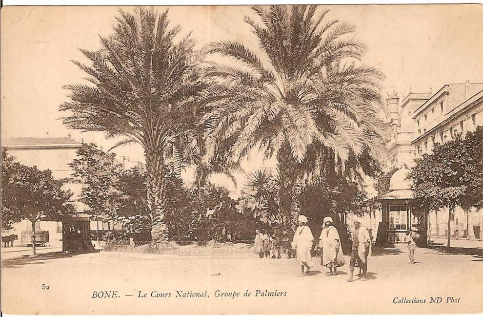 ALGERIEBONE LE COURS NATIONAL GROUPE DE PALMIERS N°52