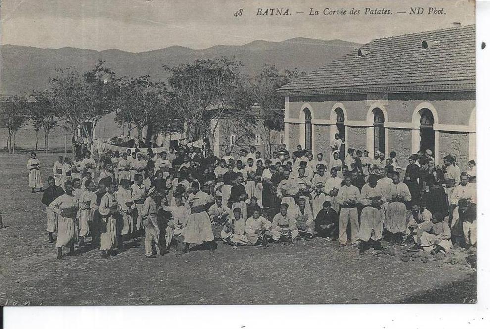 ALGERIE - BATNA - La corvée des Patates