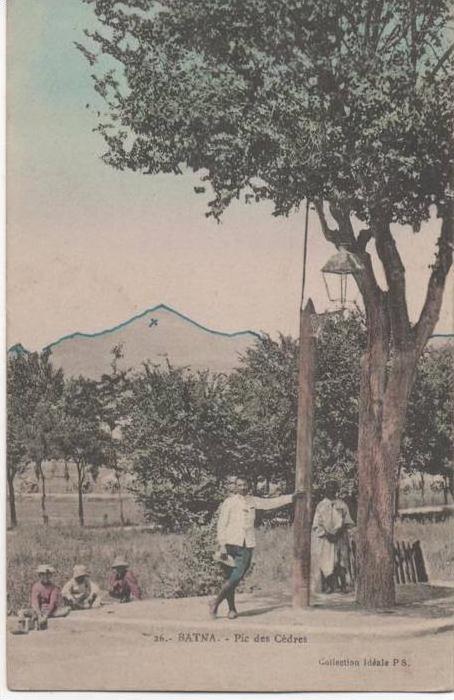 BATNA  PIC DES CEDRES
