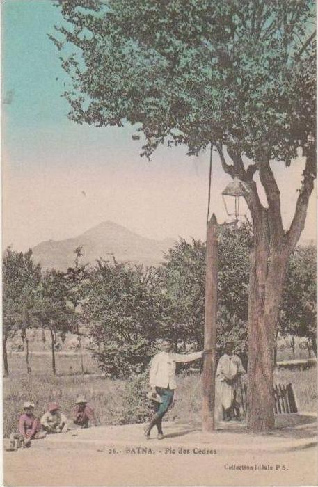 CPA ALGERIE BATNA Pic des Cèdres carte colorisée 1921