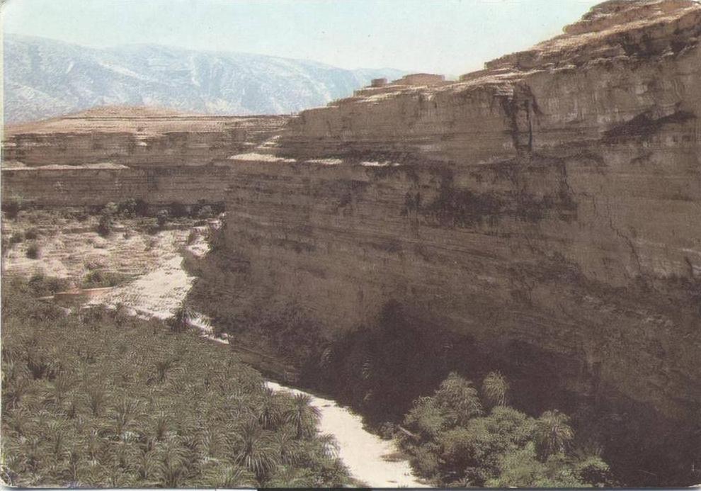 les Palmaries de Ghoufi