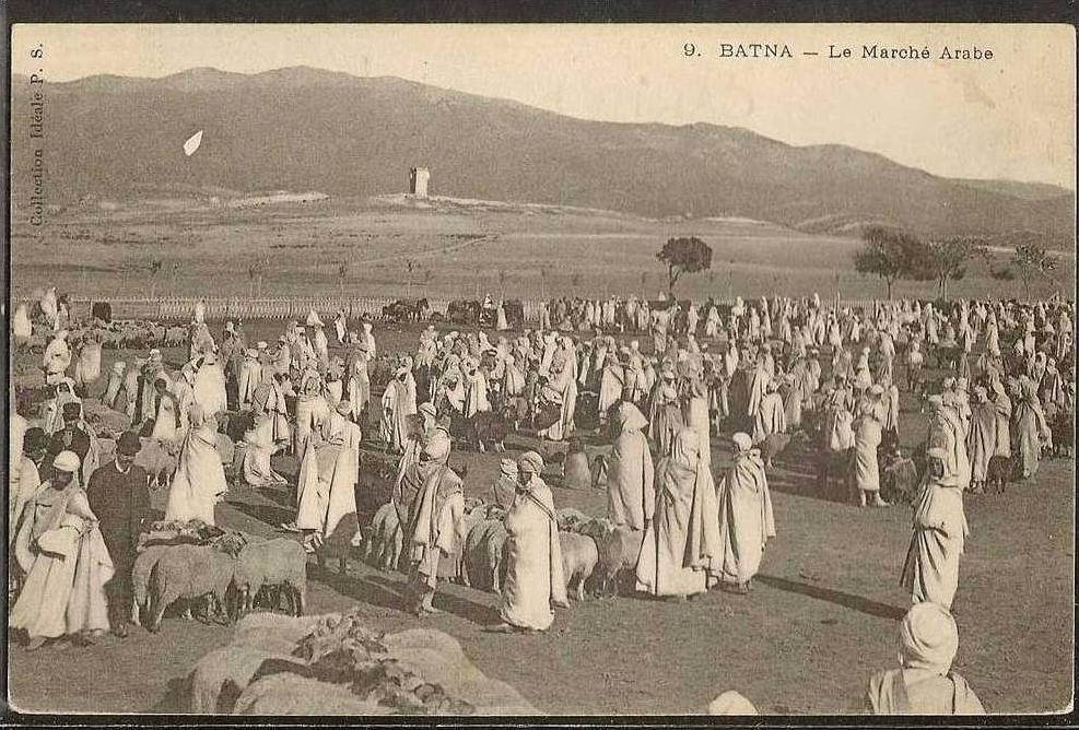 - CPA ALGERIE - Batna, le marché Arabe