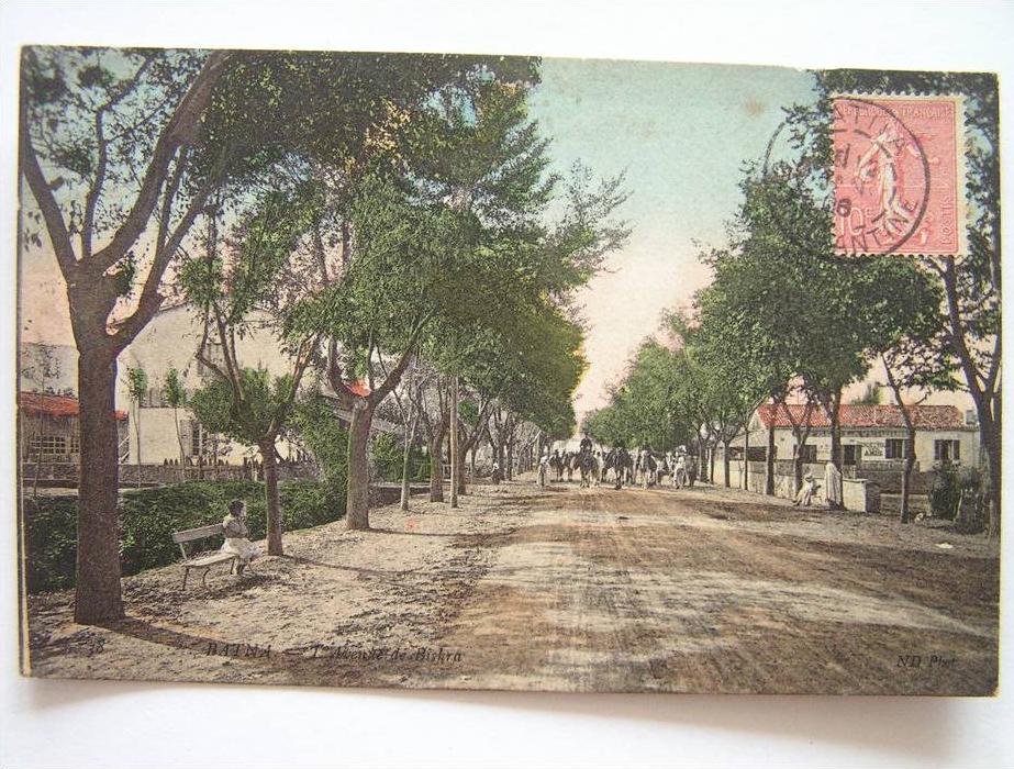 Cpa, très belle vue animée, Batna, l'avenue de Biskra