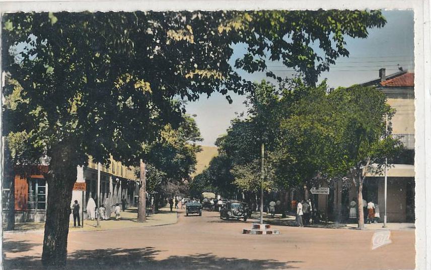 BATNA_Avenue de la République (animée )_37