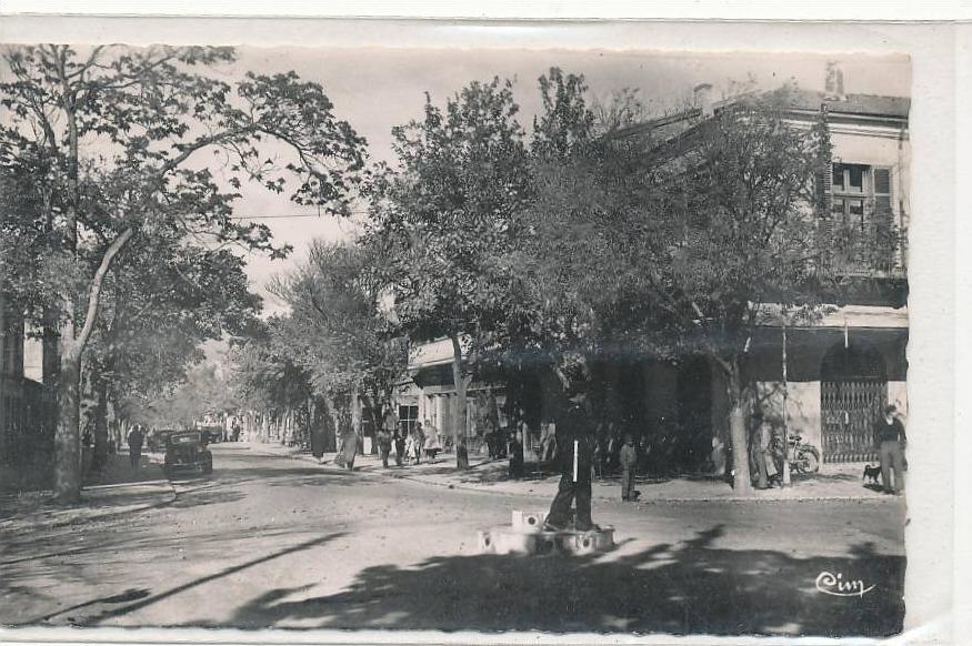 BATNA_Avenue de la République (animée )