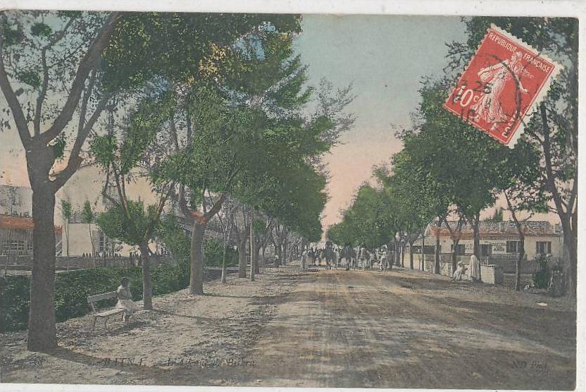 BATNA_L'Avenue de Biskra (cavaliers )