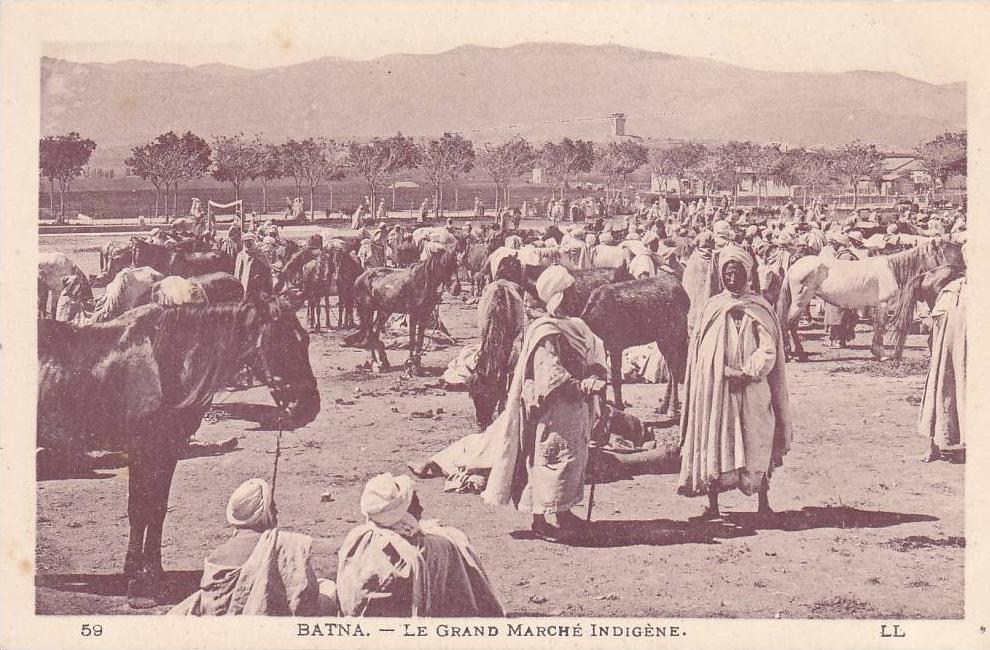 CPA - BATNA - le grand marché indigène - 59 - algerie