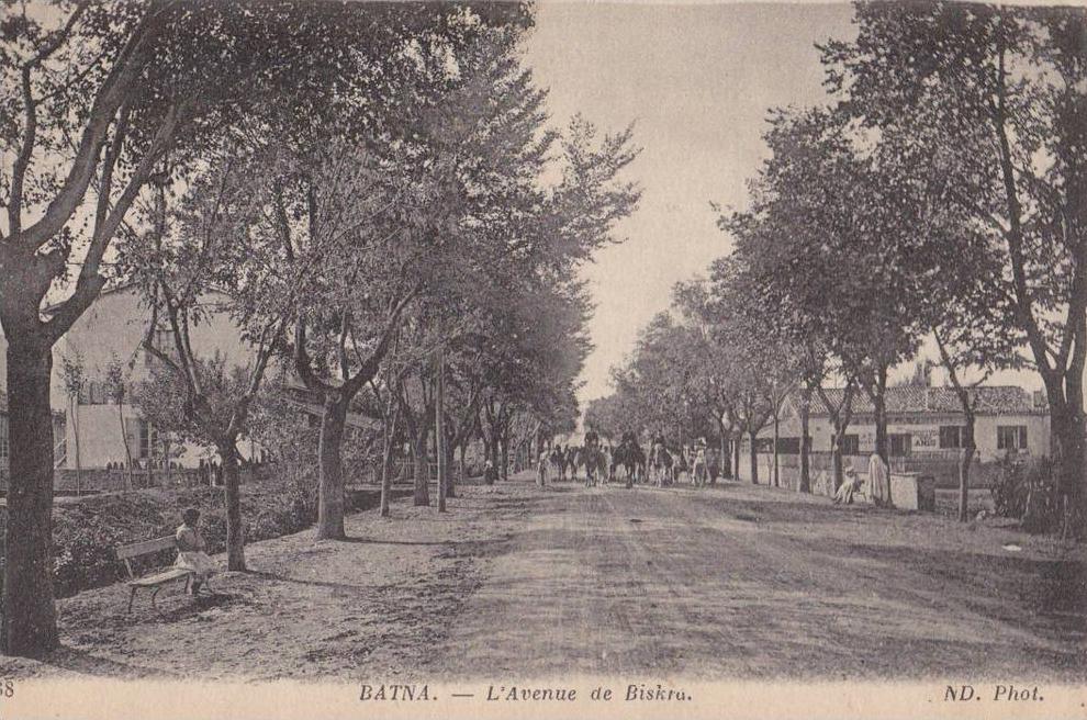 Carte postale Batna avenue de Biskra animé circulé ND phot n° 38 TBE