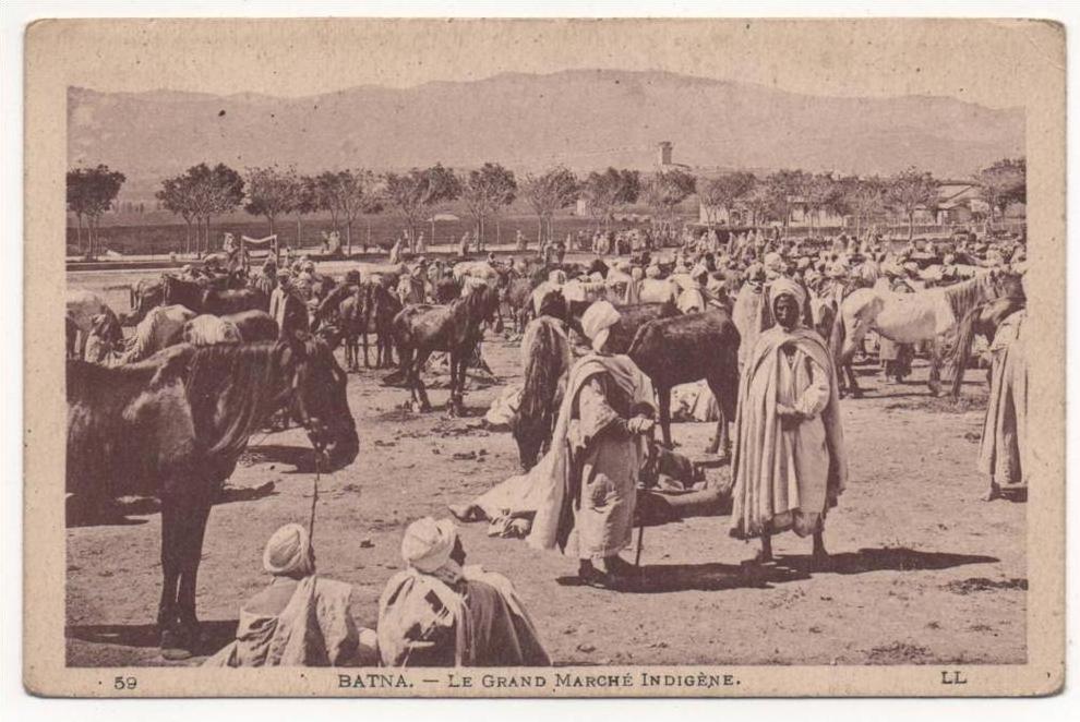 - ALGERIE - BATNA - Le Grand Marché Indigène. -