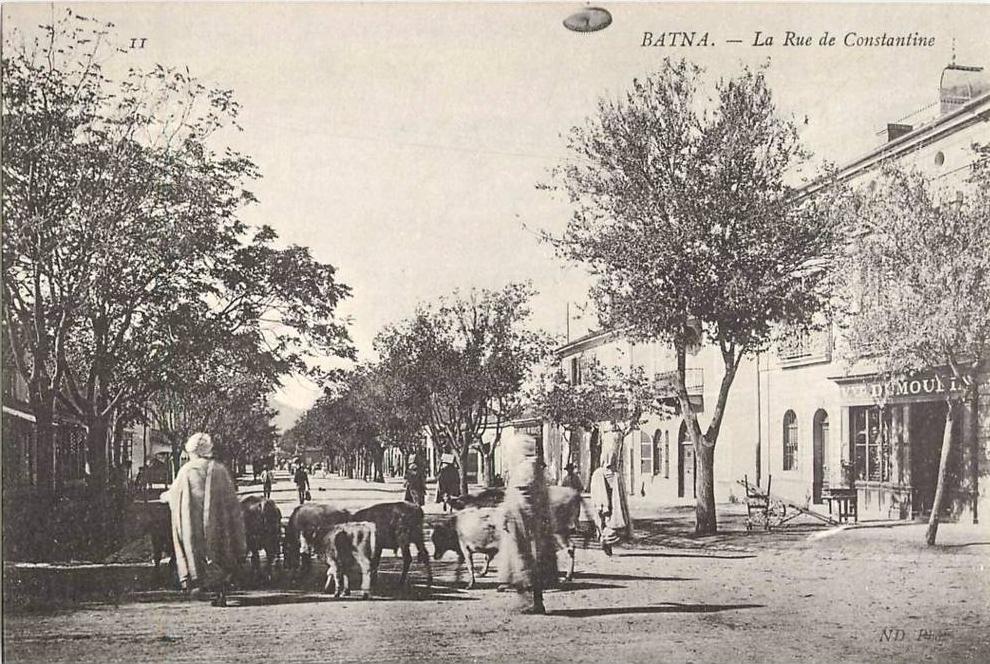 BATNA LA RUE DE CONSTANTINE BERGER MOUTONS ALGERIE