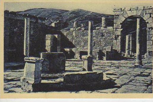 DEJEMILA  MARCHE DE COSINIUS  OHL