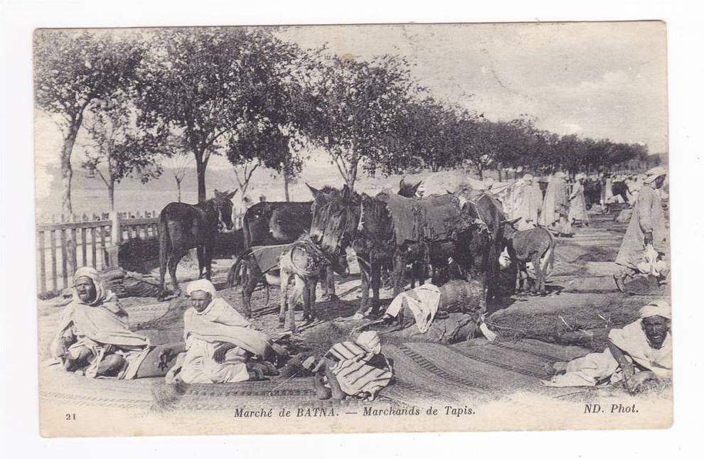 Algérie le Marché de Batna N°21 Les Marchands de Tapis en 1916 ? Anes ou mulets et chevaux