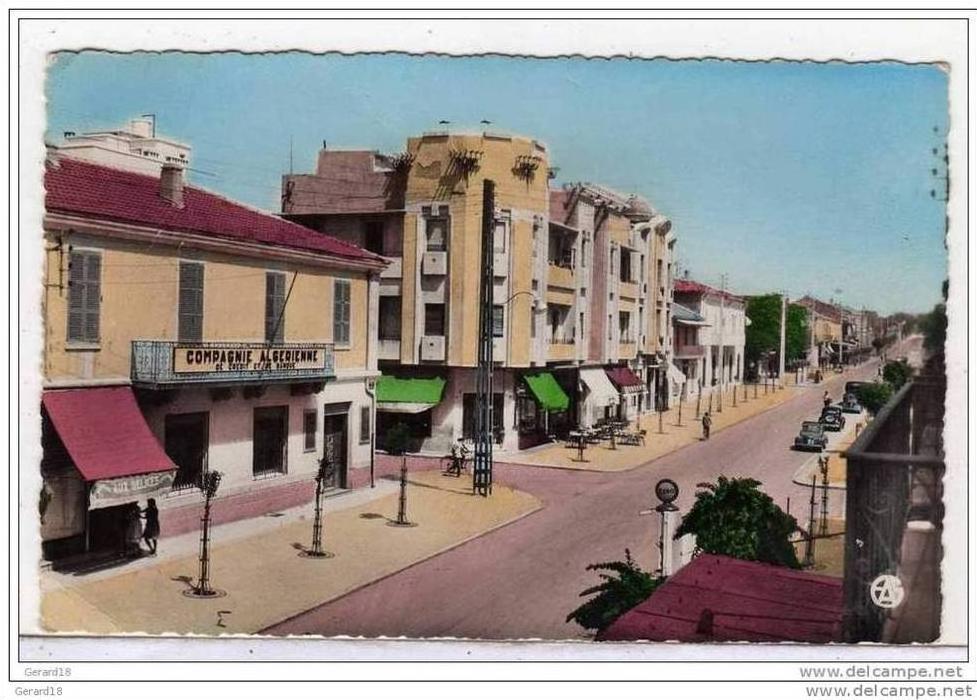 (Algérie)  BATNA  Avenue de la République.1952