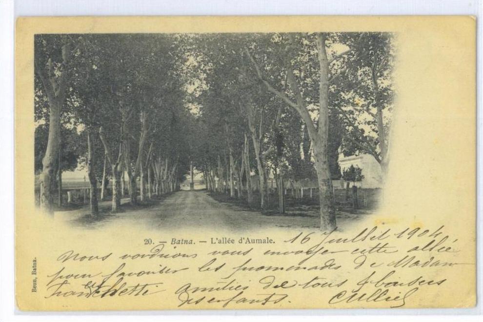 C.P.A . BATNA  - L'Allée d' Aumale - Cachet postal de Constantine