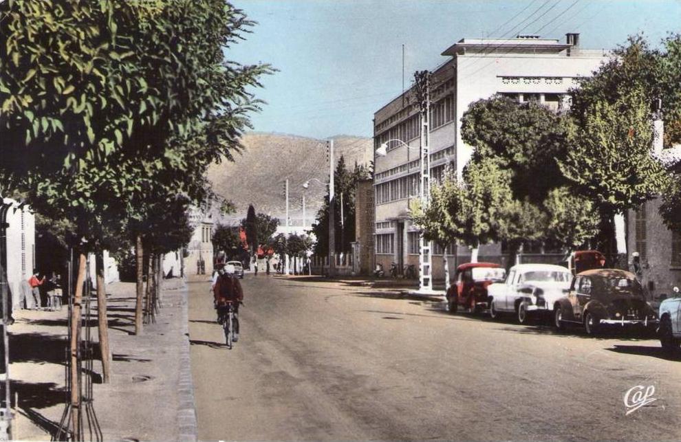 CPA   BATNA (algérie)   Route de Constantine  (N°554)  en 1960.      (7957)