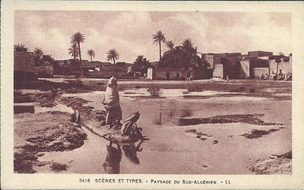 AFRIQUE DU NORD - ALGERIE -  BATNA - Scènes et types - Paysage du Sud-Algérien