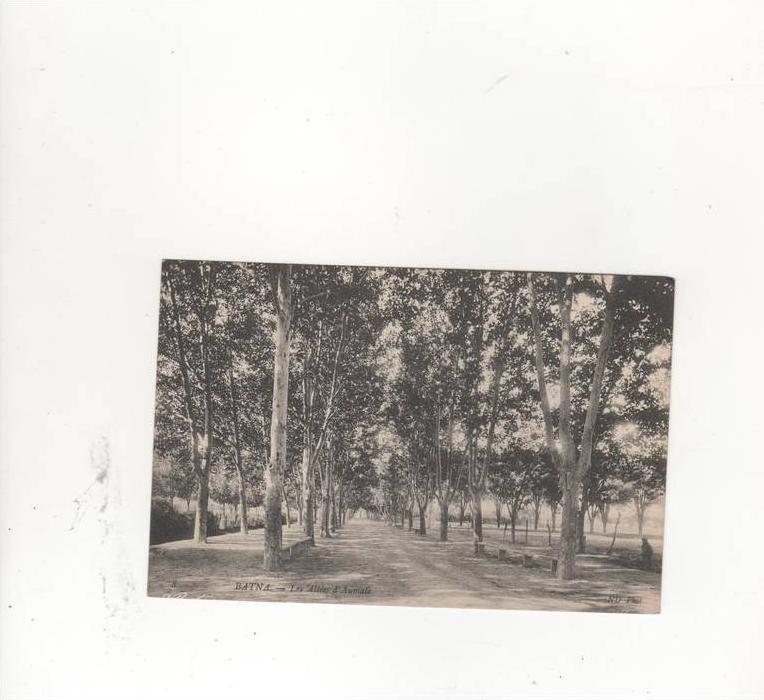 les allées d'aumale