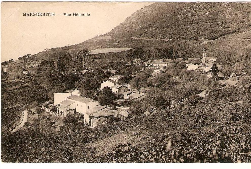 Marguerite. Vue générale .