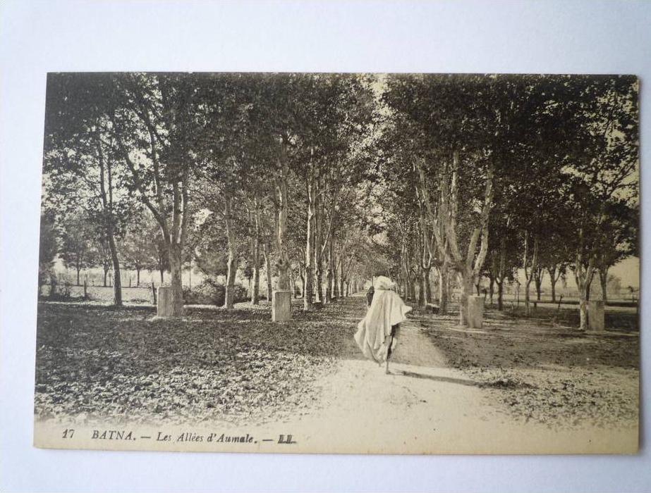 BATNA  (Algérie)    Les  Allées  d'AUMALE