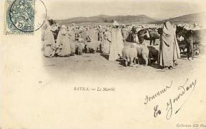 cpa-Algérie-Batna-le marché(moutons)