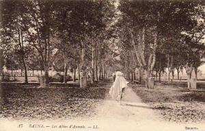 ALGERIE  BATNA  Les Allées d´Aumale  ..... ( Ref FA815 )