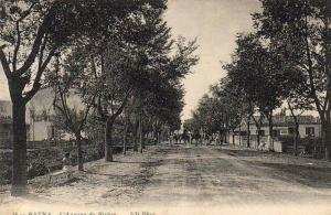 ALGERIE  BATNA  L´Avenue de Biskra  ..... ( Ref FA804 )