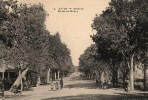 CPA - Batna - Verdure - route de Biskra