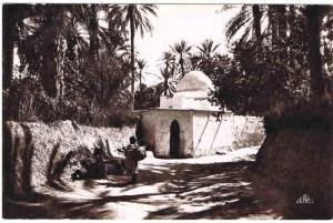 19?? - BISKRA - Marabout dans l'Oasis - Animation - SUPERBE CPA