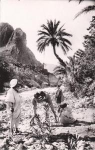 El Kantara - Dans les Gorges