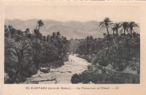 El Kantara - la Palmeraie et l'Oued