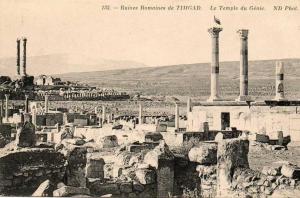 Algérie- (Batna) Ruines Romaines de TIMGAD- le Temple du Génie (...avec cigogne sur colonnes.. ) *PRIX FIXE