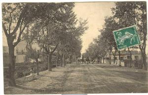 Algérie - Batna - avenue de Biskra 1907