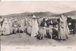 BATNA 22 LE MARCHE (BELLE ANIMATION)