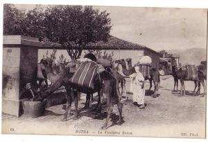 Afrique / Algérie /  BATNA /  La Fontaine Bocca    ( carte en bon état.....)