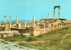 Afrique > Algérie- TIMGAD (Batna) Temple de Bacchus- Etat  = pas de timbre = timbre décollé  -*PRIX FIXE