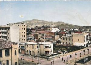 Algérie - BATNA  / CPSM GF dentelée colorisée // 1/735