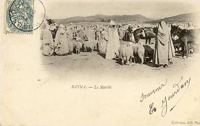 cpa-Algérie-Batna-le marché(moutons)