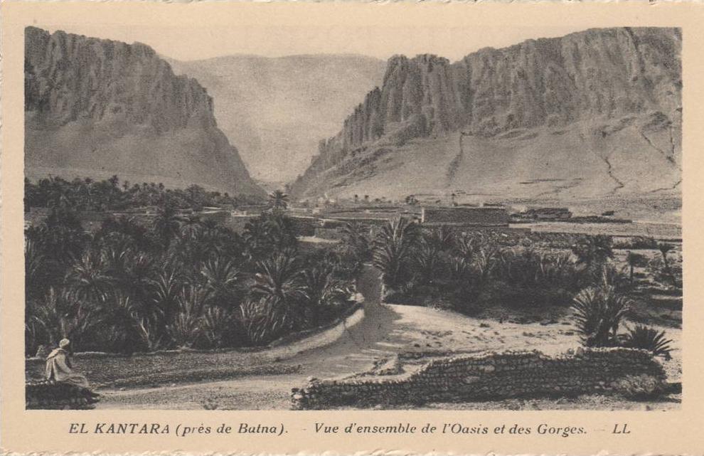 EL KANTARA (près BATNA) Vue d'ensemble de l'oasis et des gorges LL
