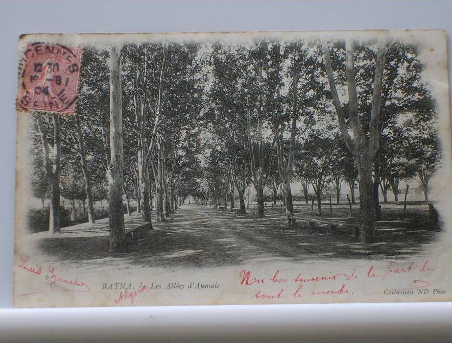 cp. Algérie. Batna. Les Allées d'Aumale