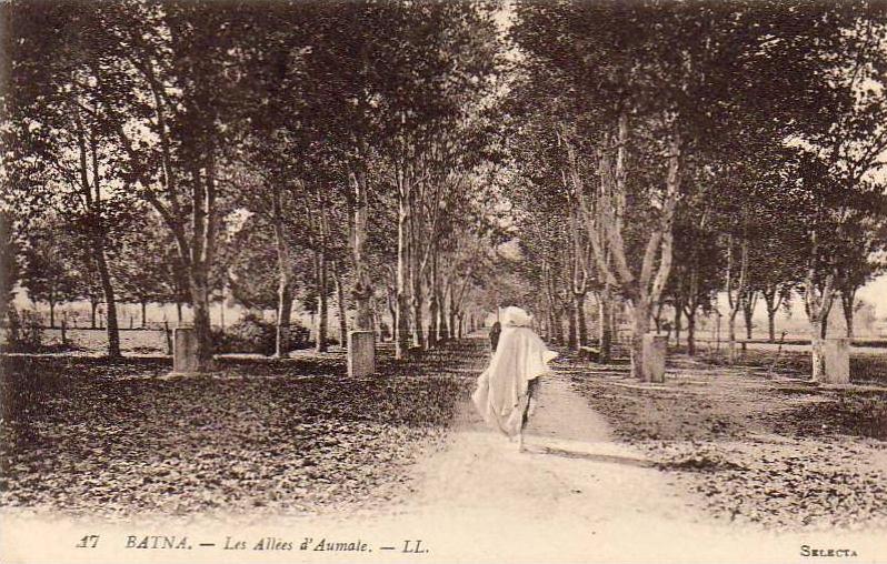 ALGERIE  BATNA  Les Allées d´Aumale  ..... ( Ref FA815 )