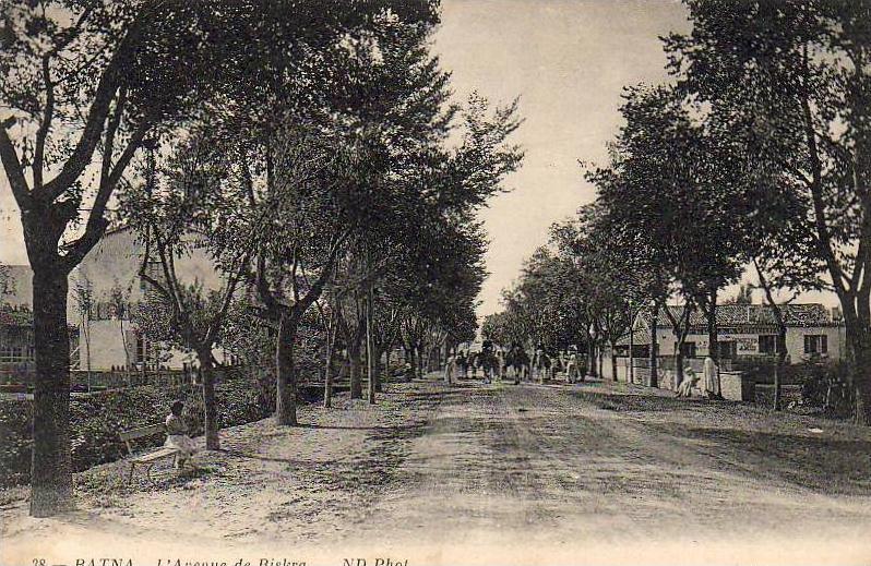 ALGERIE  BATNA  L´Avenue de Biskra  ..... ( Ref FA804 )
