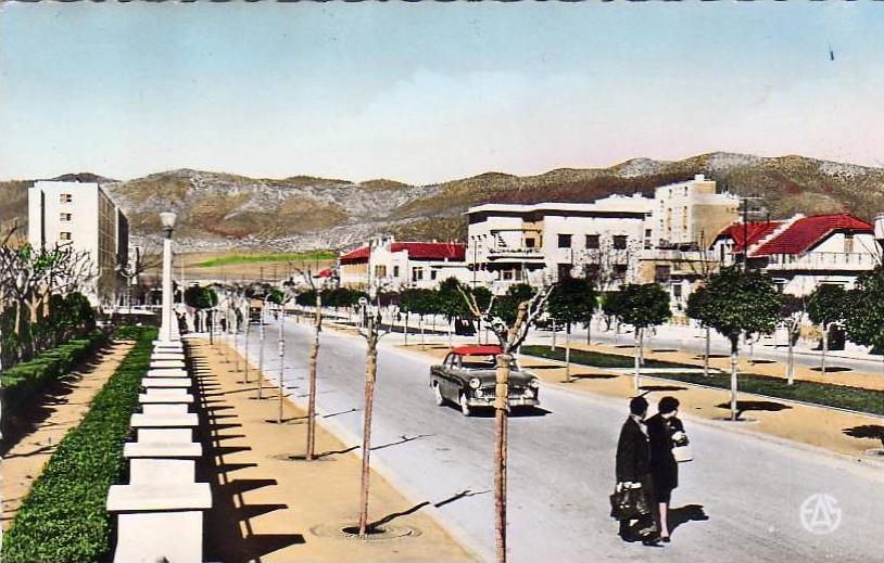 ALGERIE  BATNA  Les Allées Bocca  ..... ( Ref FA795 )