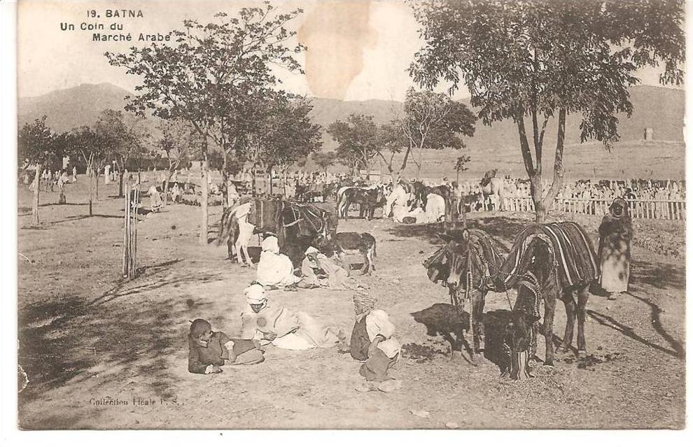 algérie  BATNA   un  coin  du  marché  1916