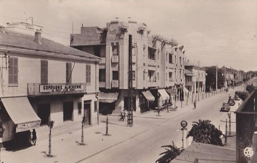 Souvenir de Batna.- (Algérie)  Avenue de la République