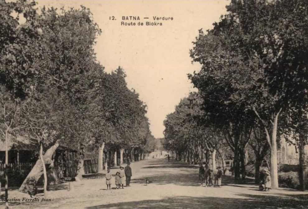 CPA - Batna - Verdure - route de Biskra