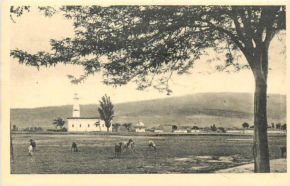 BATNA           LA MOSQUEE   CENTENAIRE DE 1930